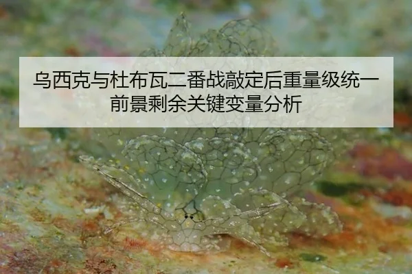乌西克与杜布瓦二番战敲定后重量级统一前景剩余关键变量分析